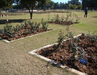 Tourist attraction image 1