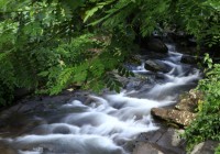 Tourist attraction image 5