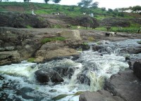 Tourist attraction image 5
