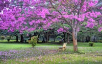 Tourist attraction image 2