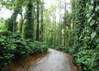 Tourist attraction image 3