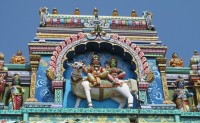 Tourist attraction image 4
