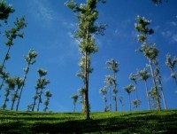 Tourist attraction image 2