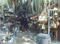 Tourist attraction image 5